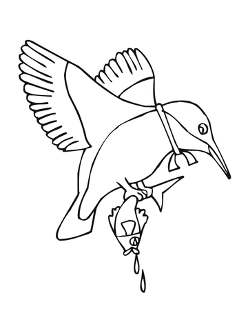 Kingfisher With Fish Coloring Page